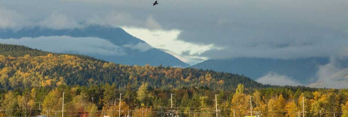 WestJet Airlines Terrace Office in British Columbia